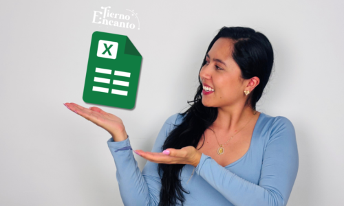 Cómo Organizar las Finanzas de tu Emprendimiento y Generar Ingresos Sostenibles